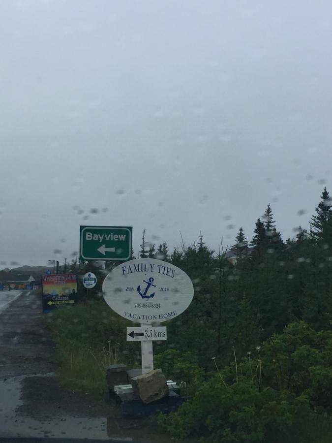 Family Ties Vacation Home - Greenham House Twillingate Buitenkant foto